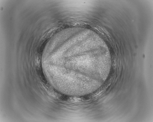 X0000087370607200705111712