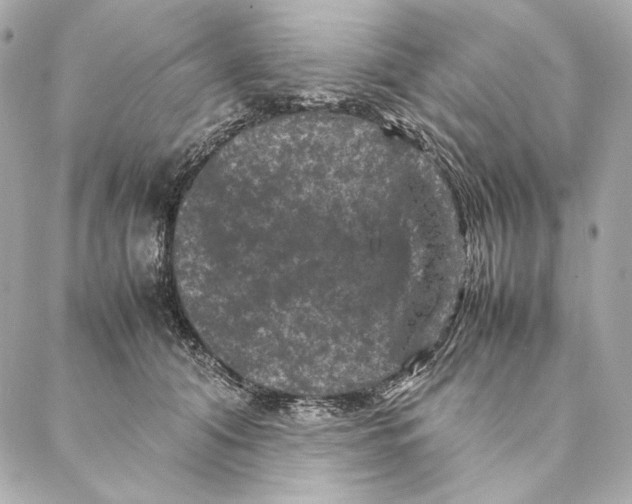 X0000087370608200705111712