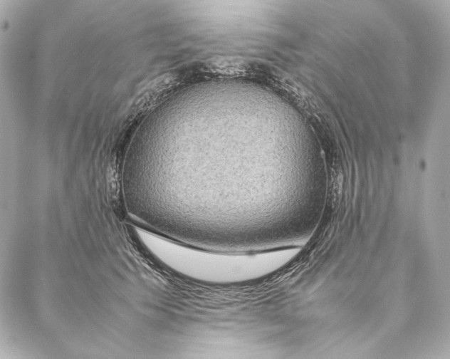 X0000087370609200705111712