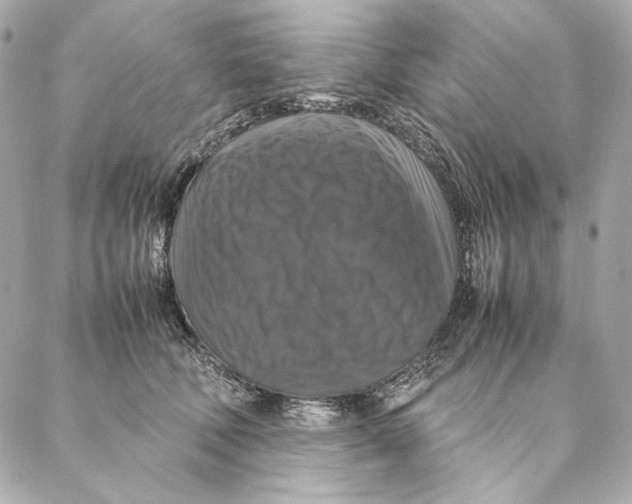 X0000087370610200705111712