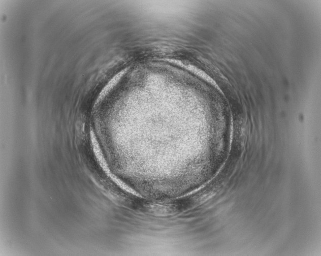 X0000087370615200705111712