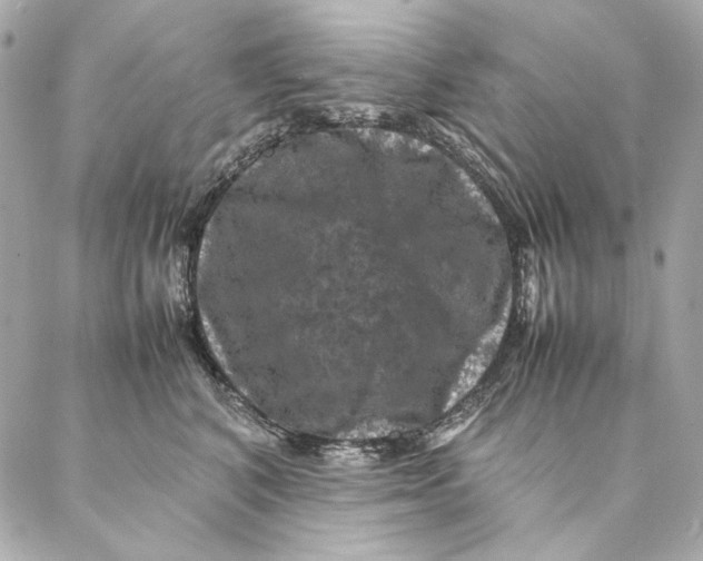 X0000087370616200705111712