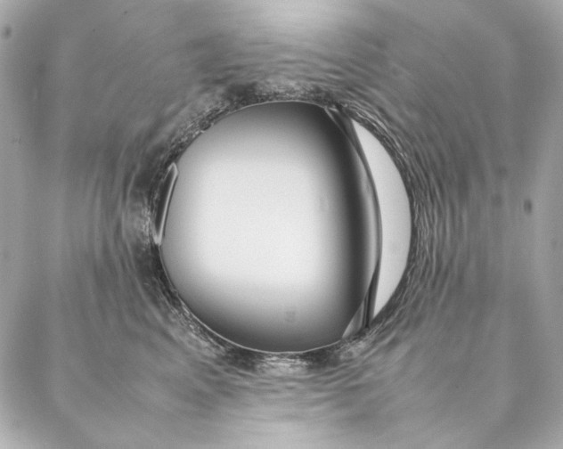 X0000087370617200705111712