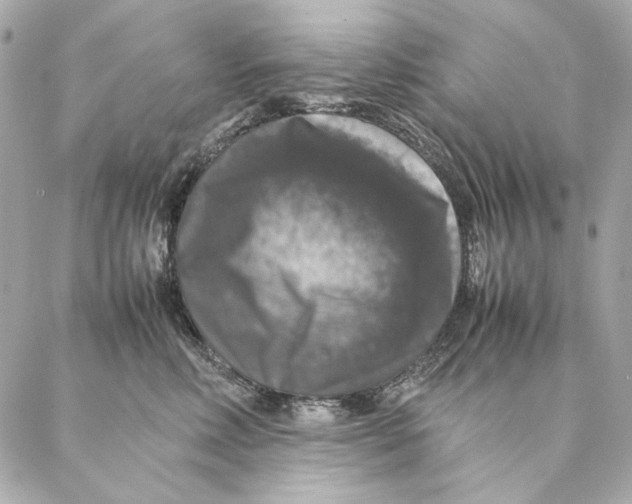 X0000087370618200705111712