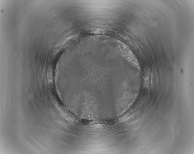 X0000087370620200705111712