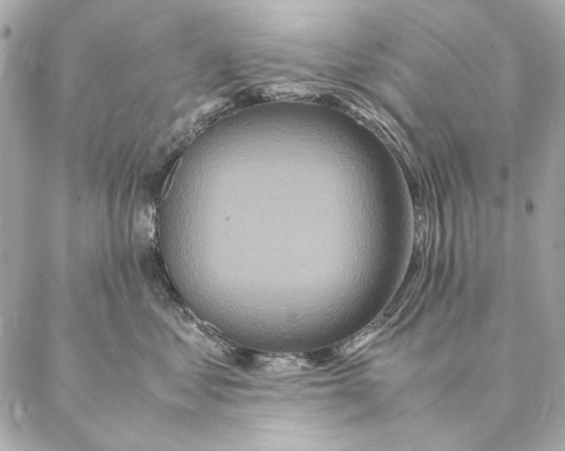 X0000087370621200705111712