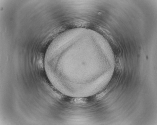 X0000087370622200705111712