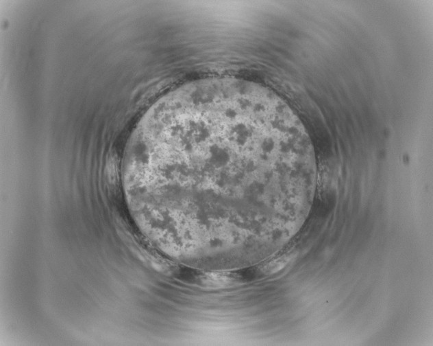 X0000087370623200705111712