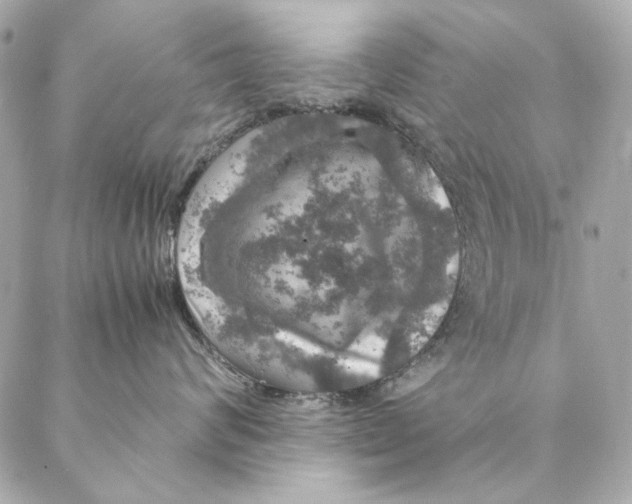 X0000087370624200705111712