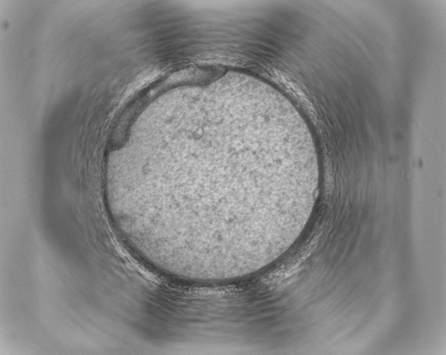 X0000087370625200705111711