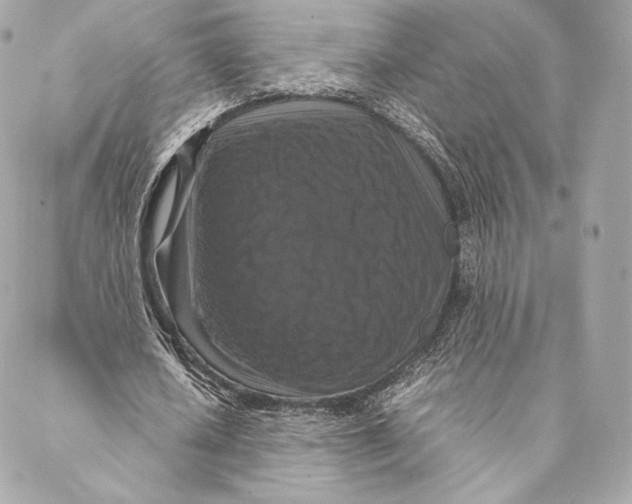 X0000087370626200705111711