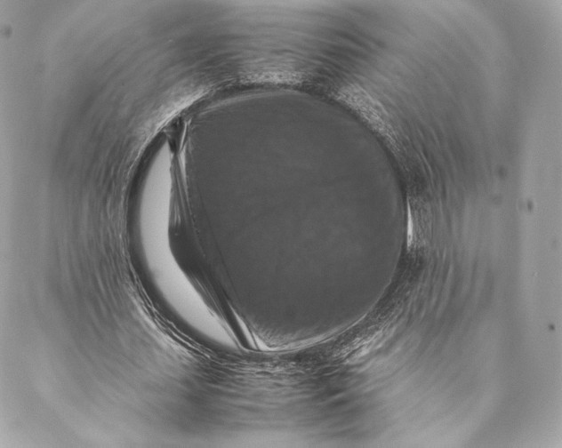 X0000087370627200705111711