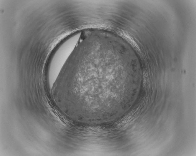 X0000087370628200705111711