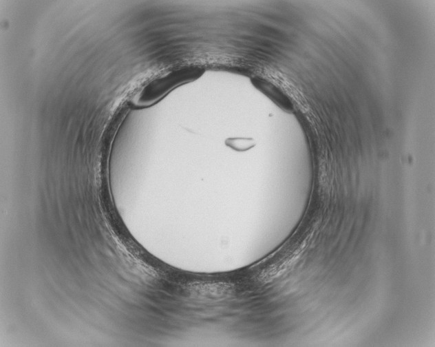 X0000087370629200705111711