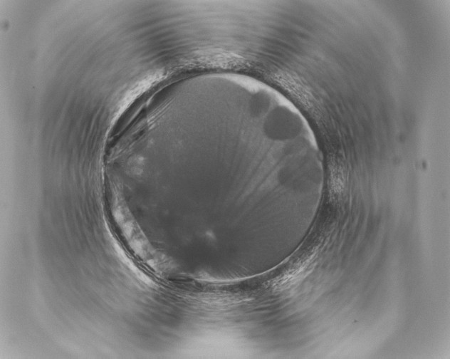 X0000087370630200705111711