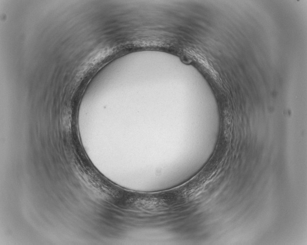 X0000087370631200705111711