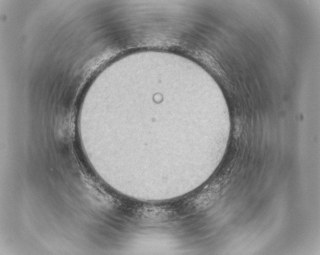 X0000087370632200705111711