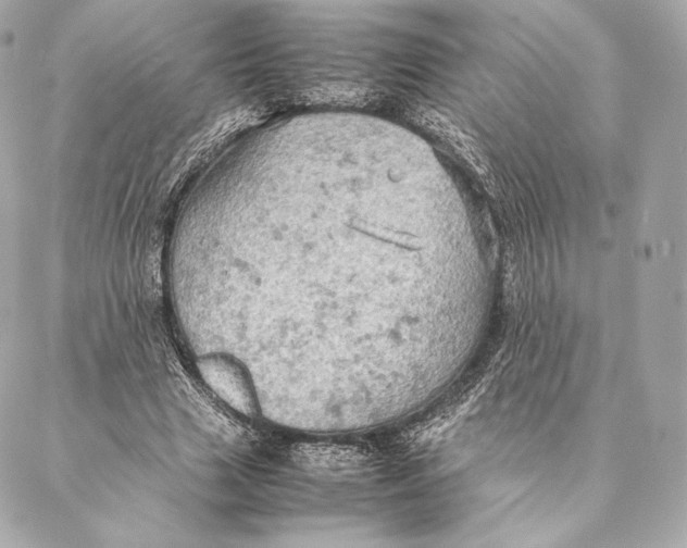 X0000087370633200705111711