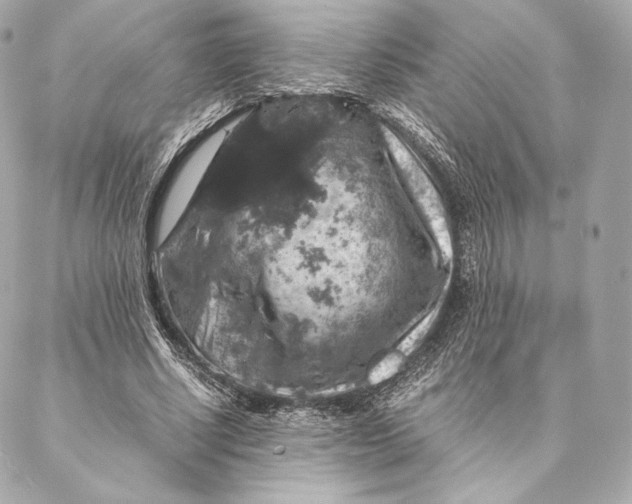 X0000087370634200705111711