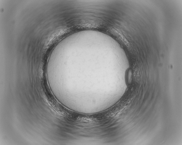 X0000087370635200705111711