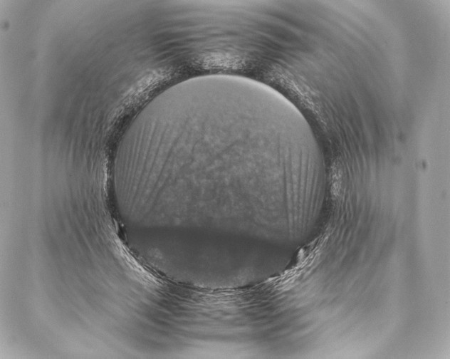 X0000087370637200705111711