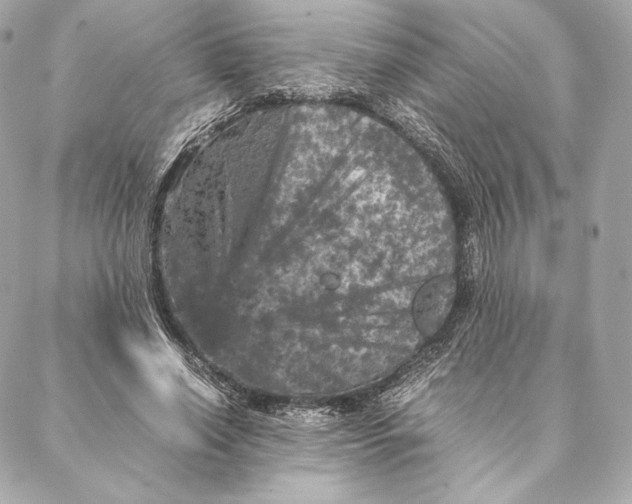 X0000087370638200705111711