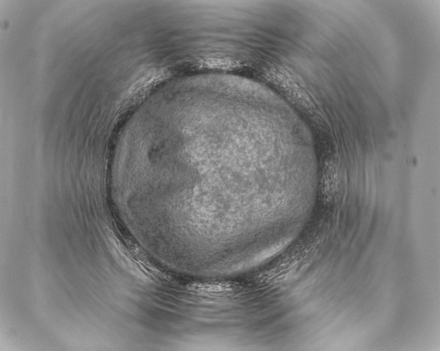 X0000087370639200705111711