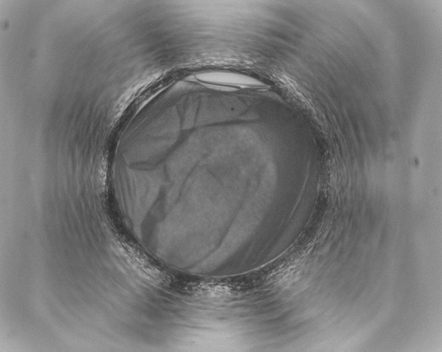 X0000087370640200705111711