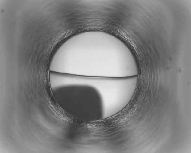 X0000087370641200705111711