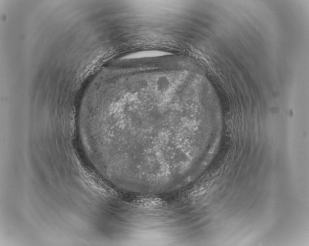 X0000087370642200705111711