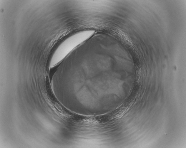 X0000087370644200705111711