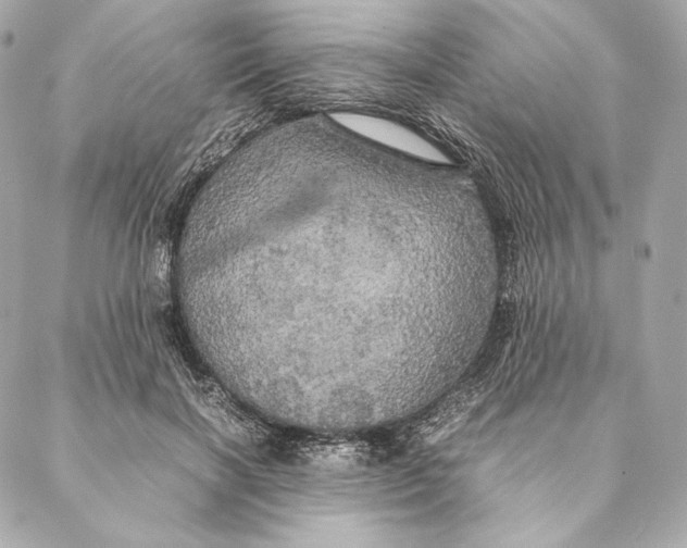 X0000087370646200705111711