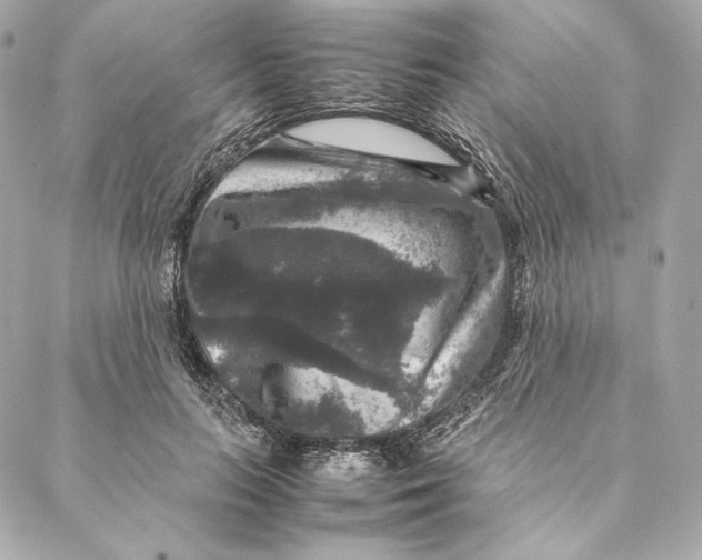 X0000087370647200705111711