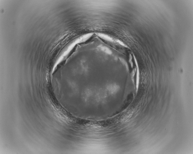 X0000087370648200705111711