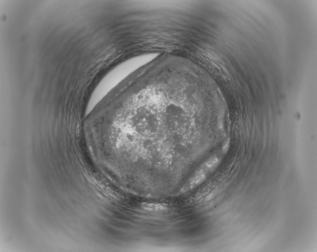 X0000087370649200705111711