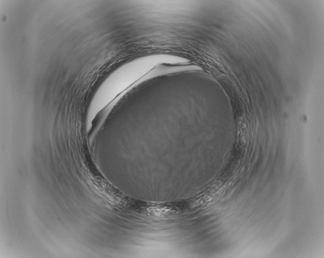 X0000087370650200705111711