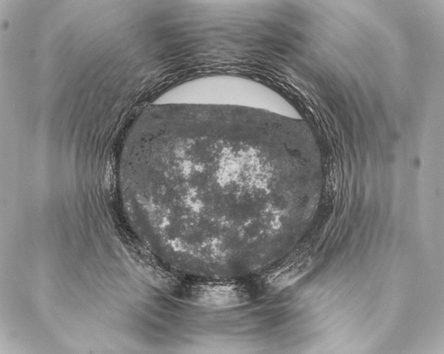 X0000087370651200705111711