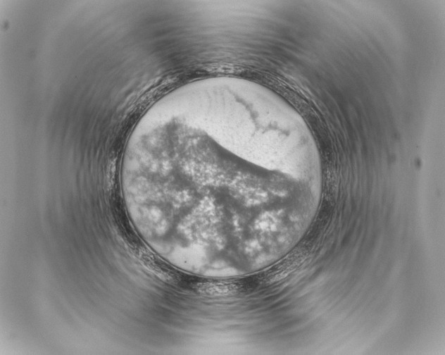 X0000087370652200705111711