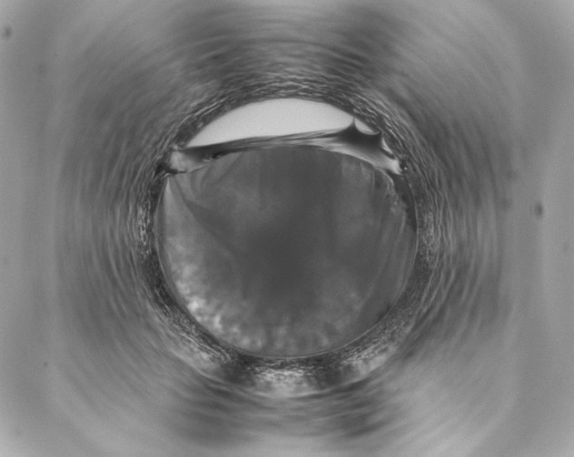 X0000087370653200705111711