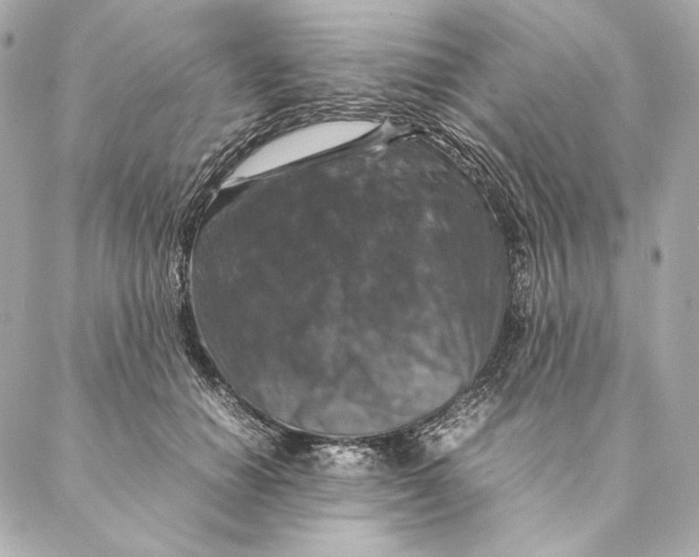 X0000087370654200705111711