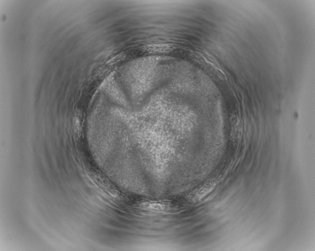 X0000087370655200705111711