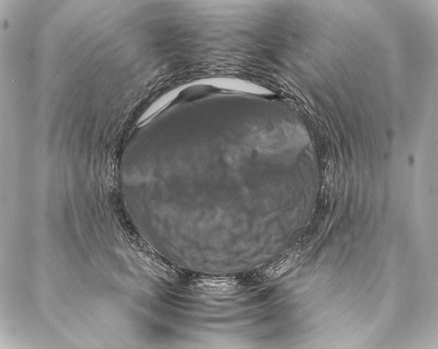 X0000087370659200705111711