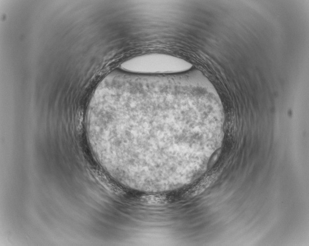 X0000087370660200705111711