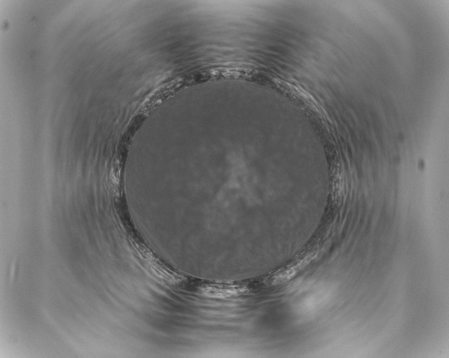 X0000087370661200705111711