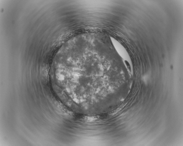 X0000087370662200705111711