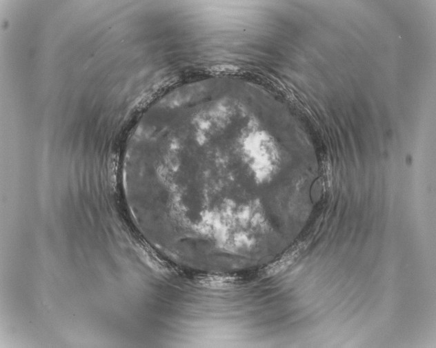 X0000087370664200705111712