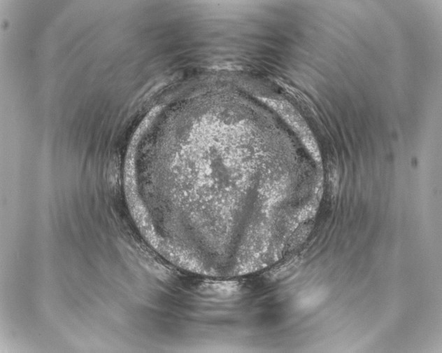 X0000087370665200705111712