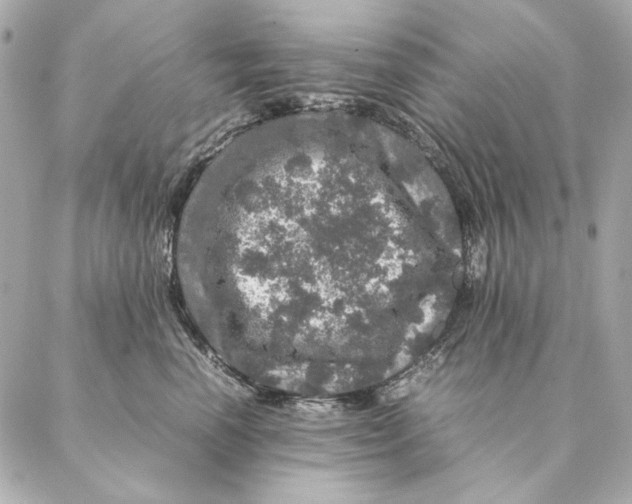 X0000087370666200705111712