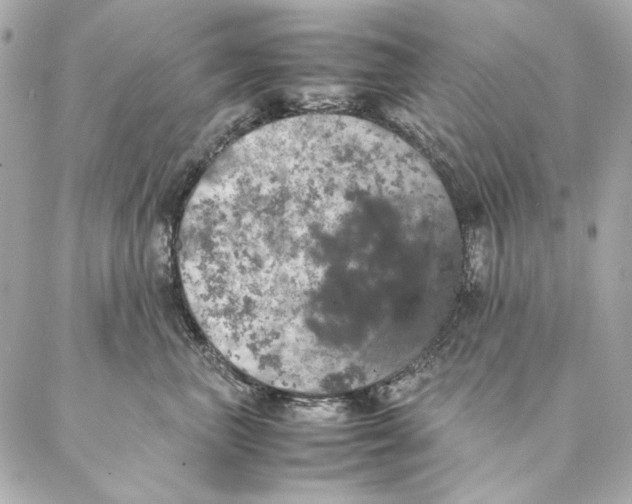 X0000087370667200705111712