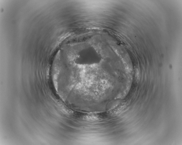 X0000087370668200705111712